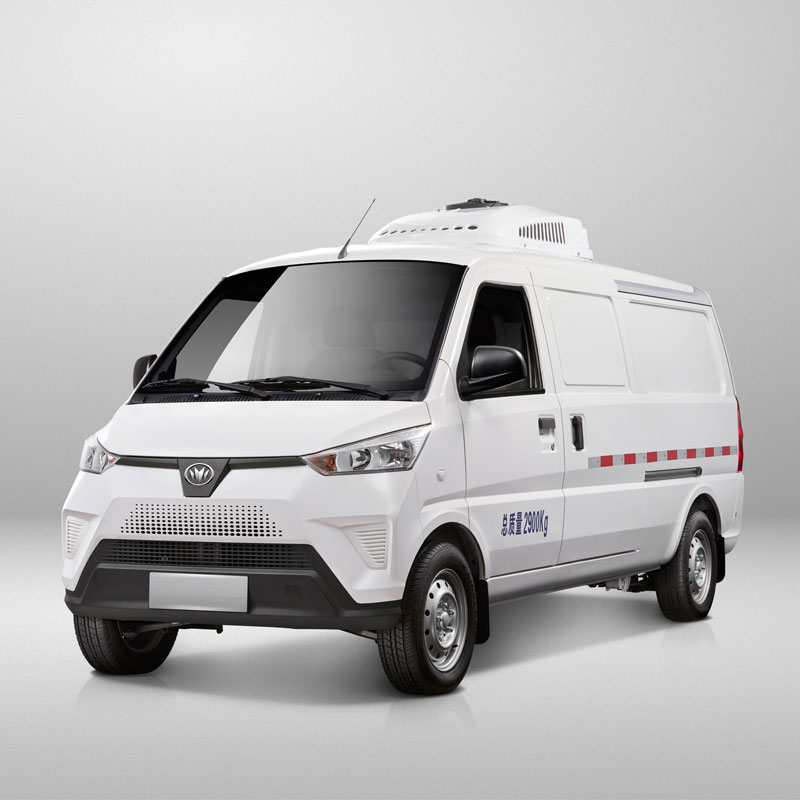 Keyton Electric Mini Holrigrator Van